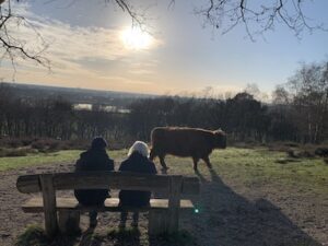 wandelen